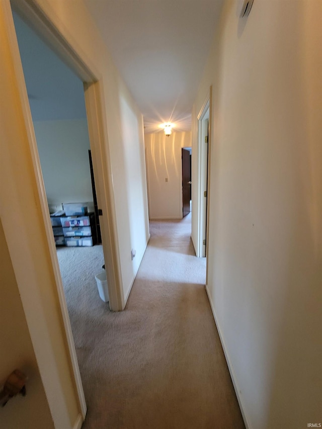 corridor with light colored carpet