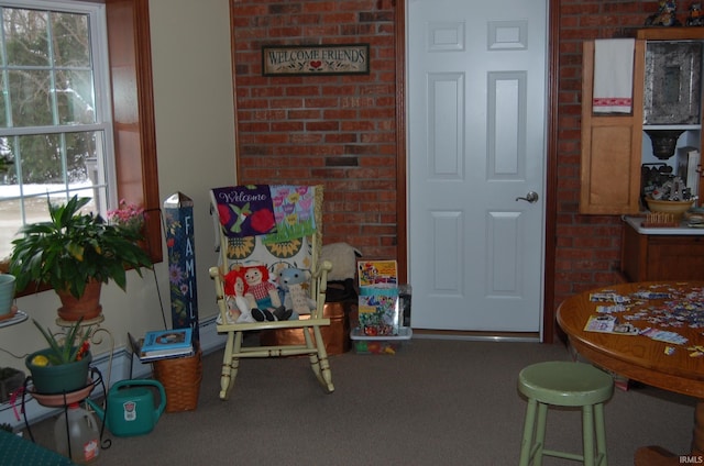 recreation room featuring carpet floors