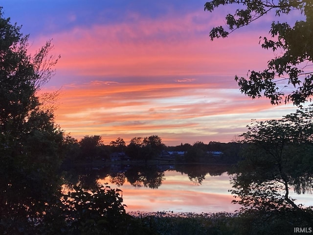 nature at dusk featuring a water view