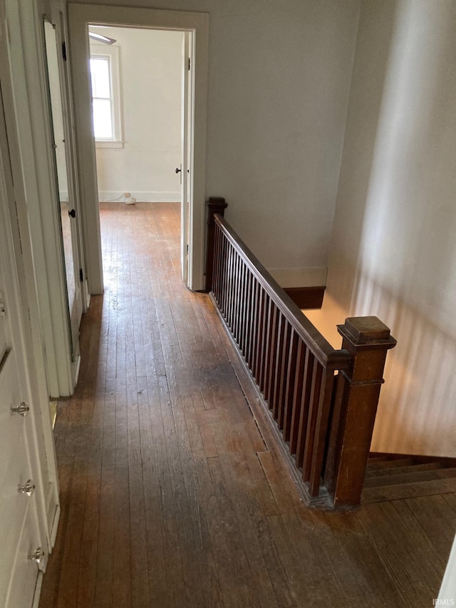 hall with dark hardwood / wood-style flooring