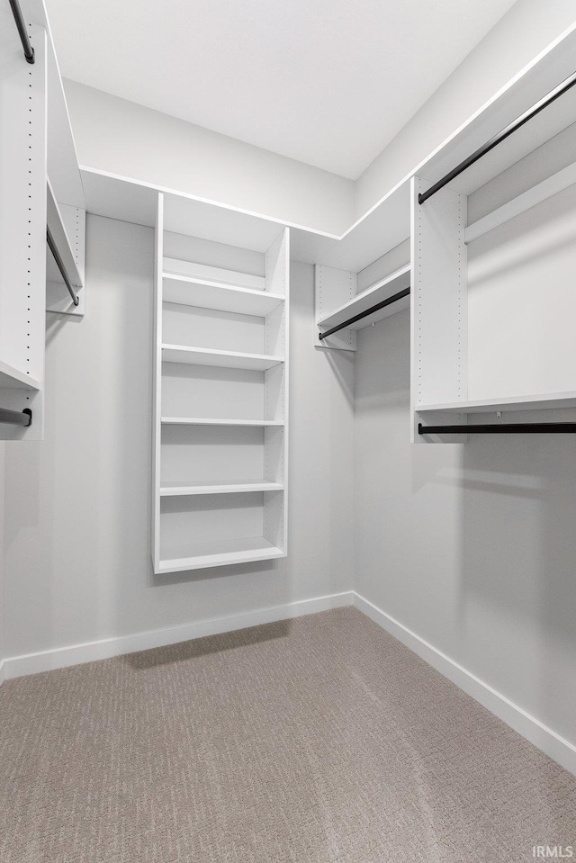 walk in closet featuring carpet flooring