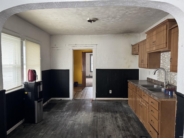 kitchen featuring dark hardwood / wood-style floors, a healthy amount of sunlight, sink, and tasteful backsplash