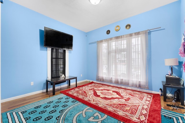 living room featuring hardwood / wood-style floors