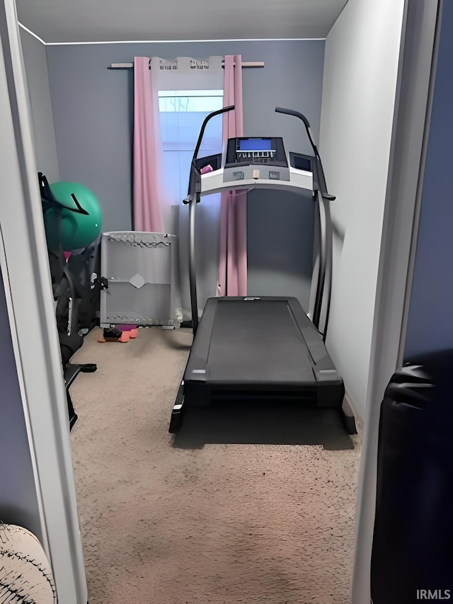 workout room with carpet