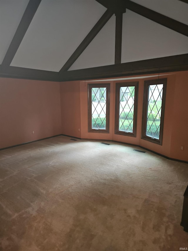 additional living space with carpet floors, high vaulted ceiling, and a wealth of natural light