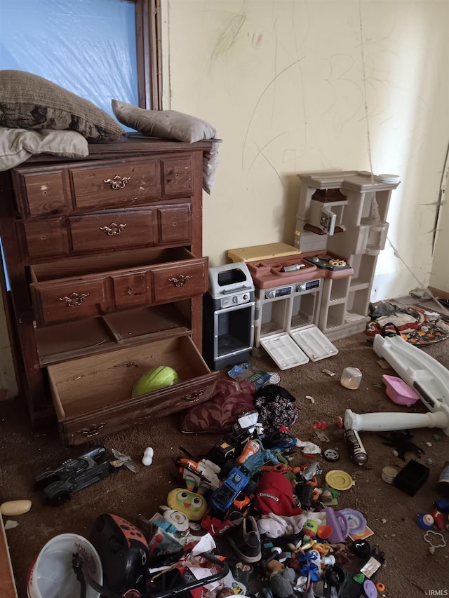 miscellaneous room featuring carpet