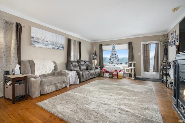 living room with hardwood / wood-style flooring and a stone fireplace