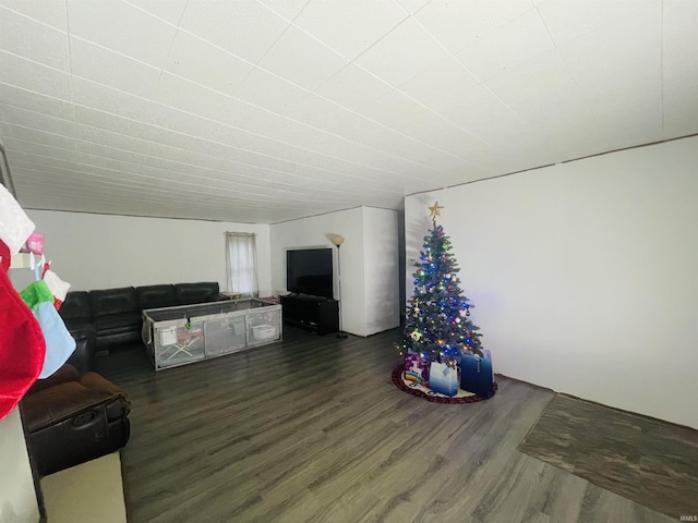 living room with dark hardwood / wood-style floors