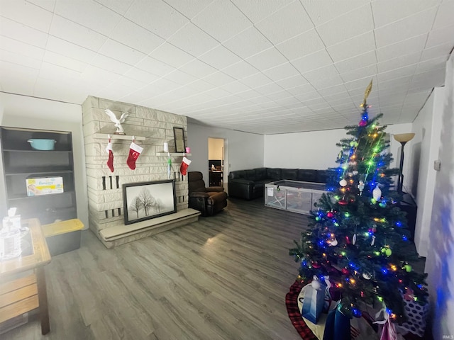 interior space featuring hardwood / wood-style floors and a stone fireplace