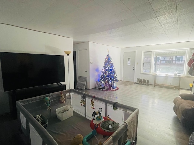 living room with hardwood / wood-style flooring