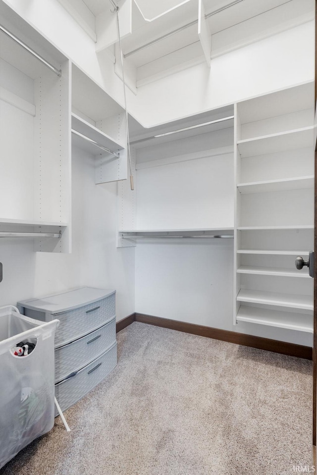 walk in closet featuring carpet floors