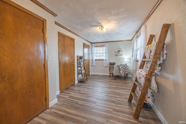 foyer entrance featuring wood-type flooring and crown molding