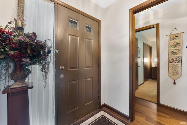 foyer featuring wood-type flooring