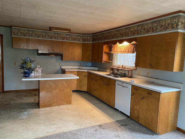 kitchen featuring white dishwasher, extractor fan, and sink