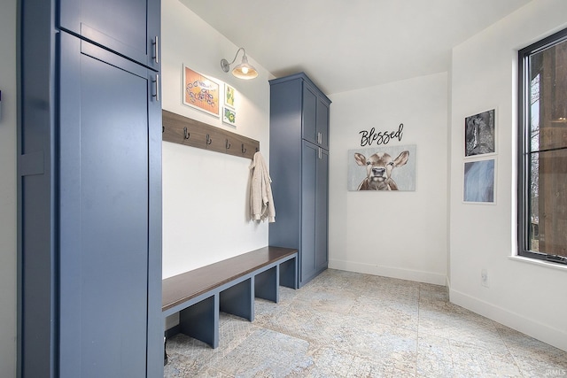 mudroom featuring a healthy amount of sunlight