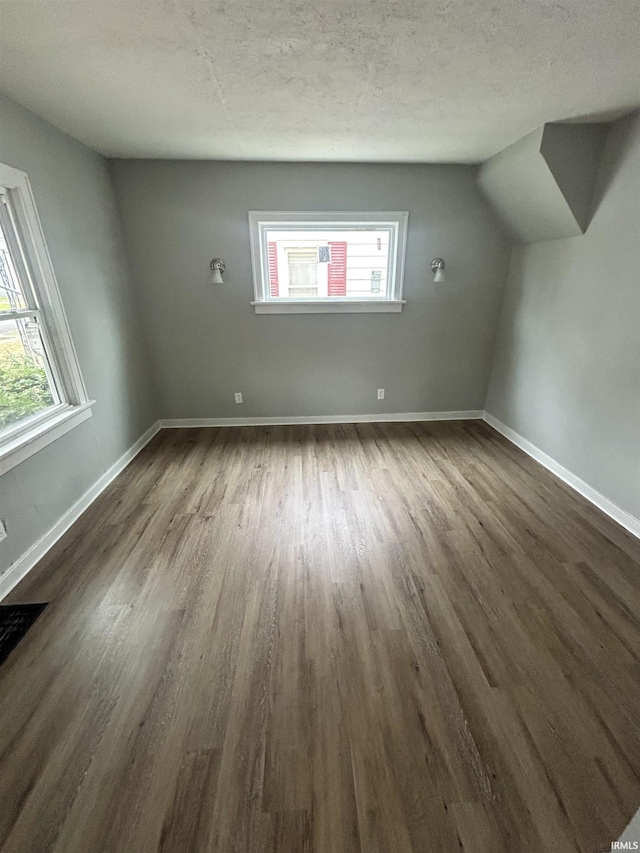 interior space with vaulted ceiling, dark wood-type flooring, and a textured ceiling