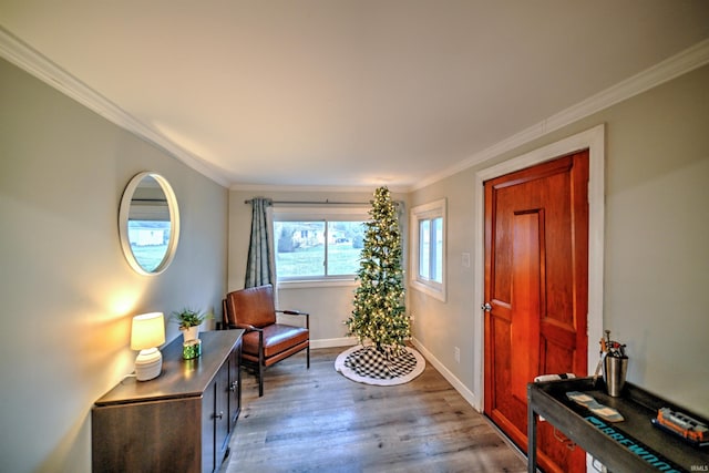 foyer entrance featuring dark hardwood / wood-style floors and ornamental molding