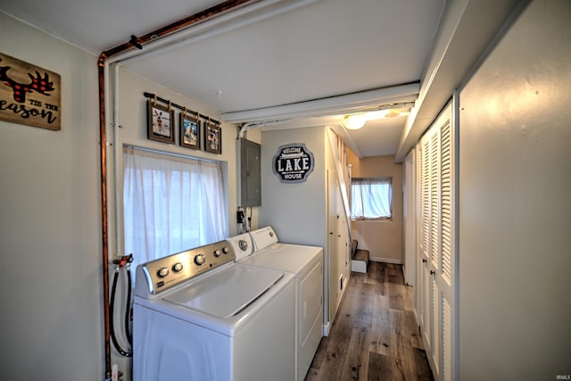 clothes washing area featuring dark hardwood / wood-style floors, separate washer and dryer, and electric panel