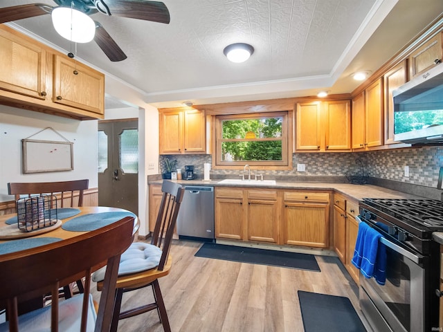 kitchen featuring tasteful backsplash, sink, light hardwood / wood-style flooring, and appliances with stainless steel finishes