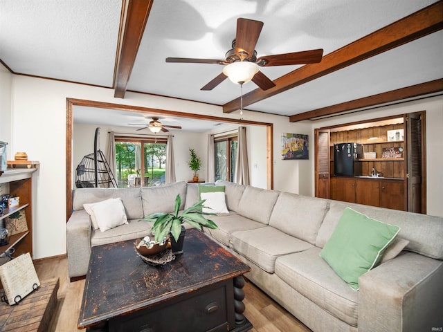 living room with beam ceiling, light hardwood / wood-style flooring, and ceiling fan