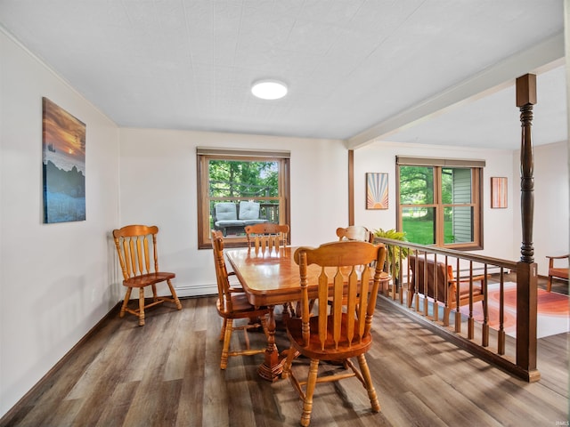 dining room with hardwood / wood-style flooring