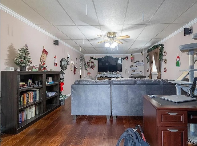 living room with ceiling fan, dark hardwood / wood-style flooring, a drop ceiling, and ornamental molding