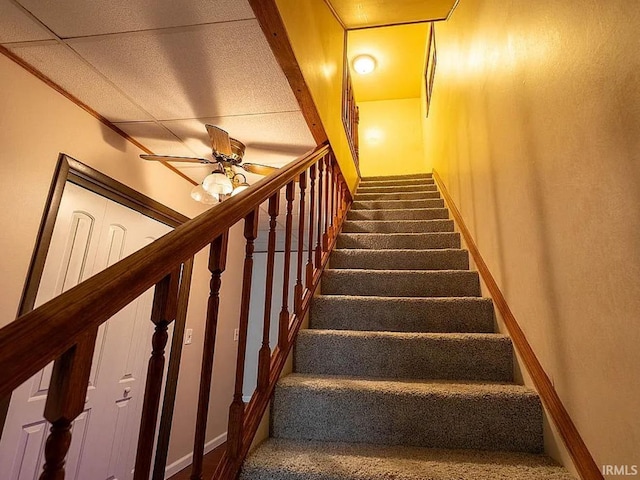 stairs featuring ceiling fan and carpet floors