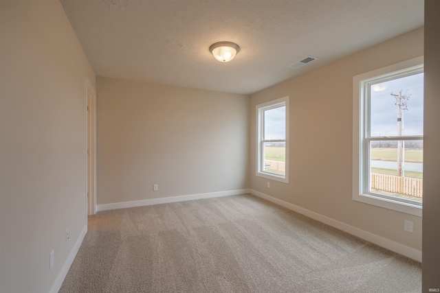 empty room featuring a textured ceiling, light colored carpet, and plenty of natural light