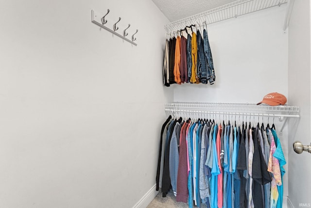 view of spacious closet