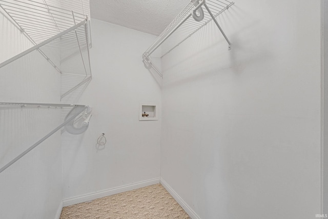 clothes washing area featuring washer hookup, carpet floors, and a textured ceiling