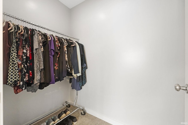 spacious closet with carpet floors