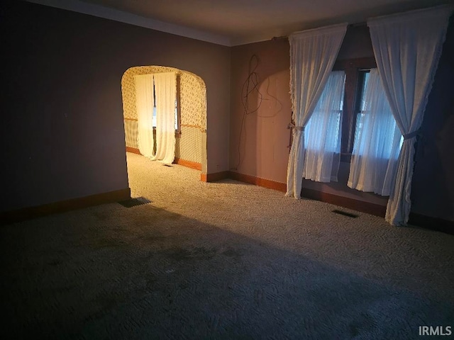 spare room featuring carpet