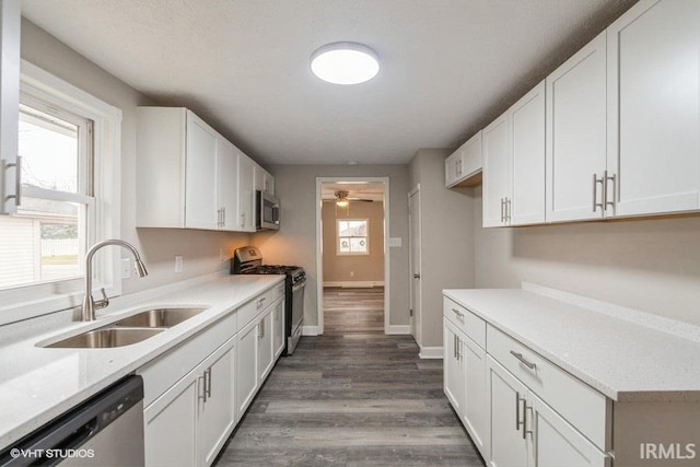 kitchen featuring stainless steel appliances, dark wood-type flooring, sink, white cabinets, and plenty of natural light