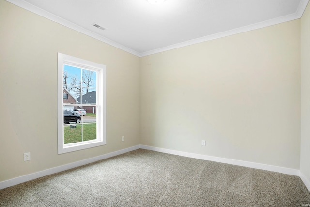 spare room with carpet and ornamental molding