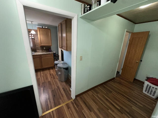 interior space featuring wood-type flooring