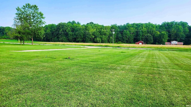 view of home's community with a lawn