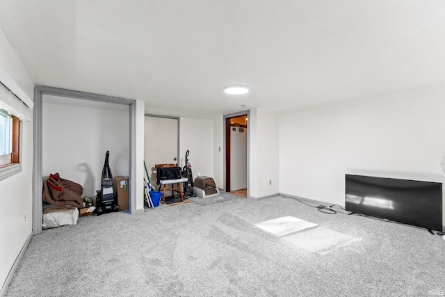 basement featuring carpet