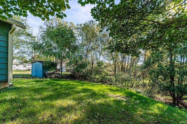 view of yard featuring a shed