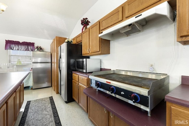 kitchen with appliances with stainless steel finishes and vaulted ceiling