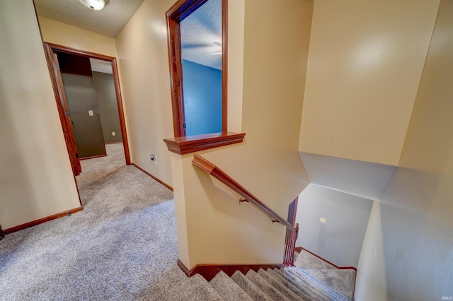 staircase featuring carpet and a textured ceiling