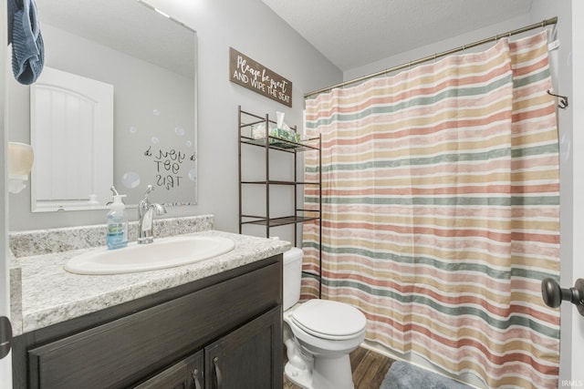 bathroom featuring vanity, wood-type flooring, a textured ceiling, and toilet