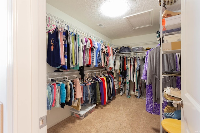 walk in closet featuring carpet floors