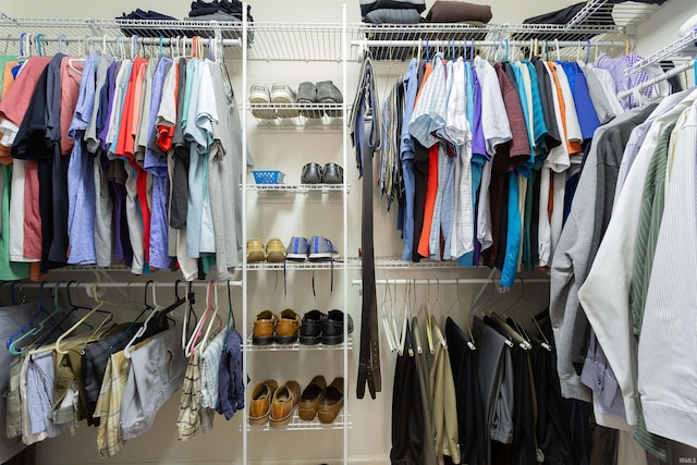 view of spacious closet