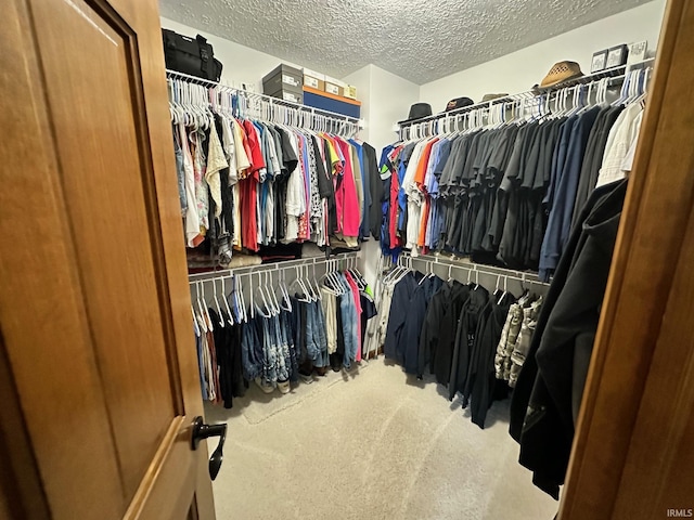 spacious closet featuring carpet flooring