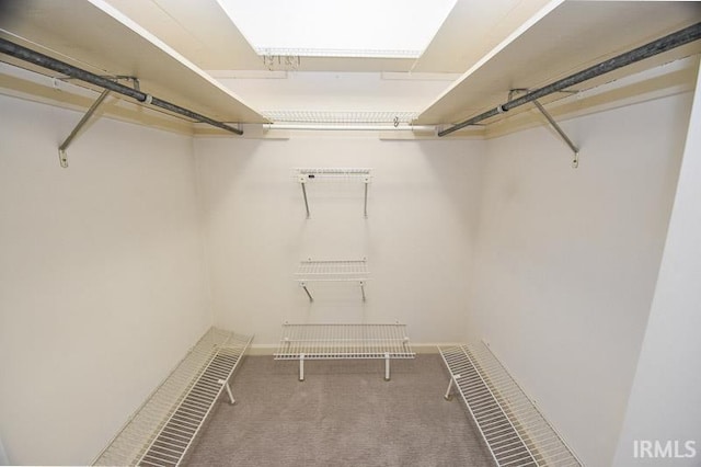 spacious closet featuring carpet floors