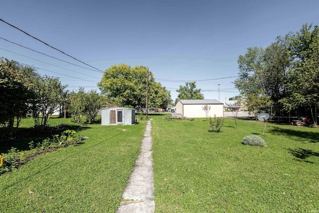 view of yard featuring a shed