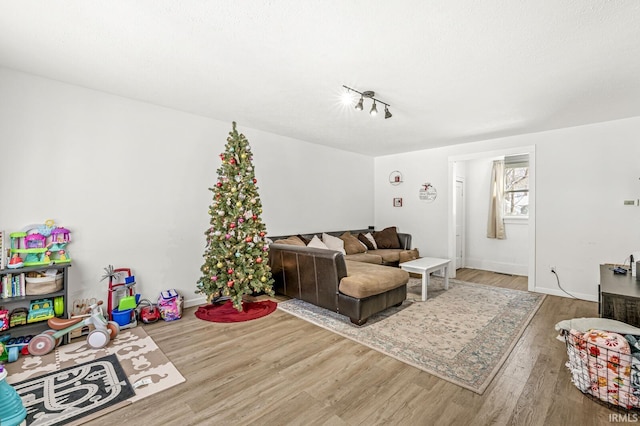 living room with hardwood / wood-style flooring