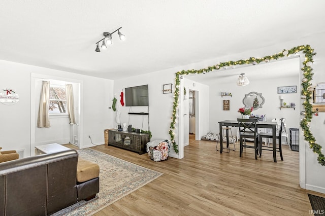 living room featuring wood-type flooring