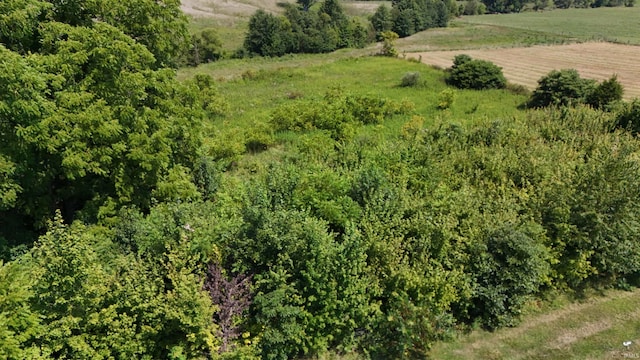 birds eye view of property with a rural view