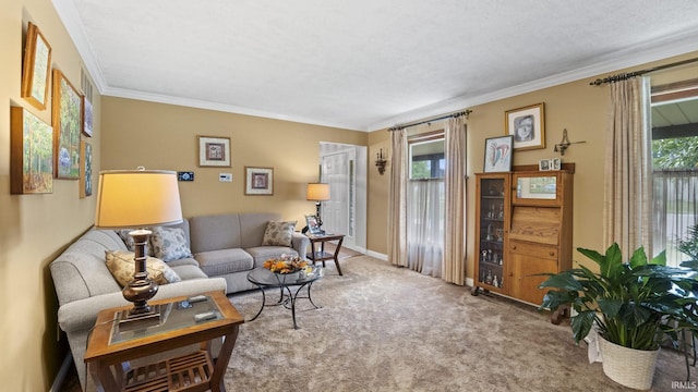 living room featuring carpet, a healthy amount of sunlight, ornamental molding, and a textured ceiling